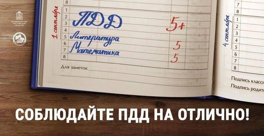 В Подмосковье стартовало профилактическое мероприятие «Внимание – дети!»
