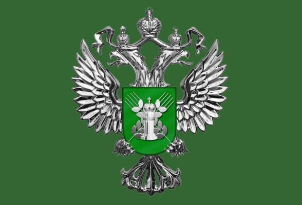 Россельхознадзор предупреждает об опасном карантинном вредителе - коричнево-мраморном клопе