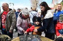 DSC_1125.JPG