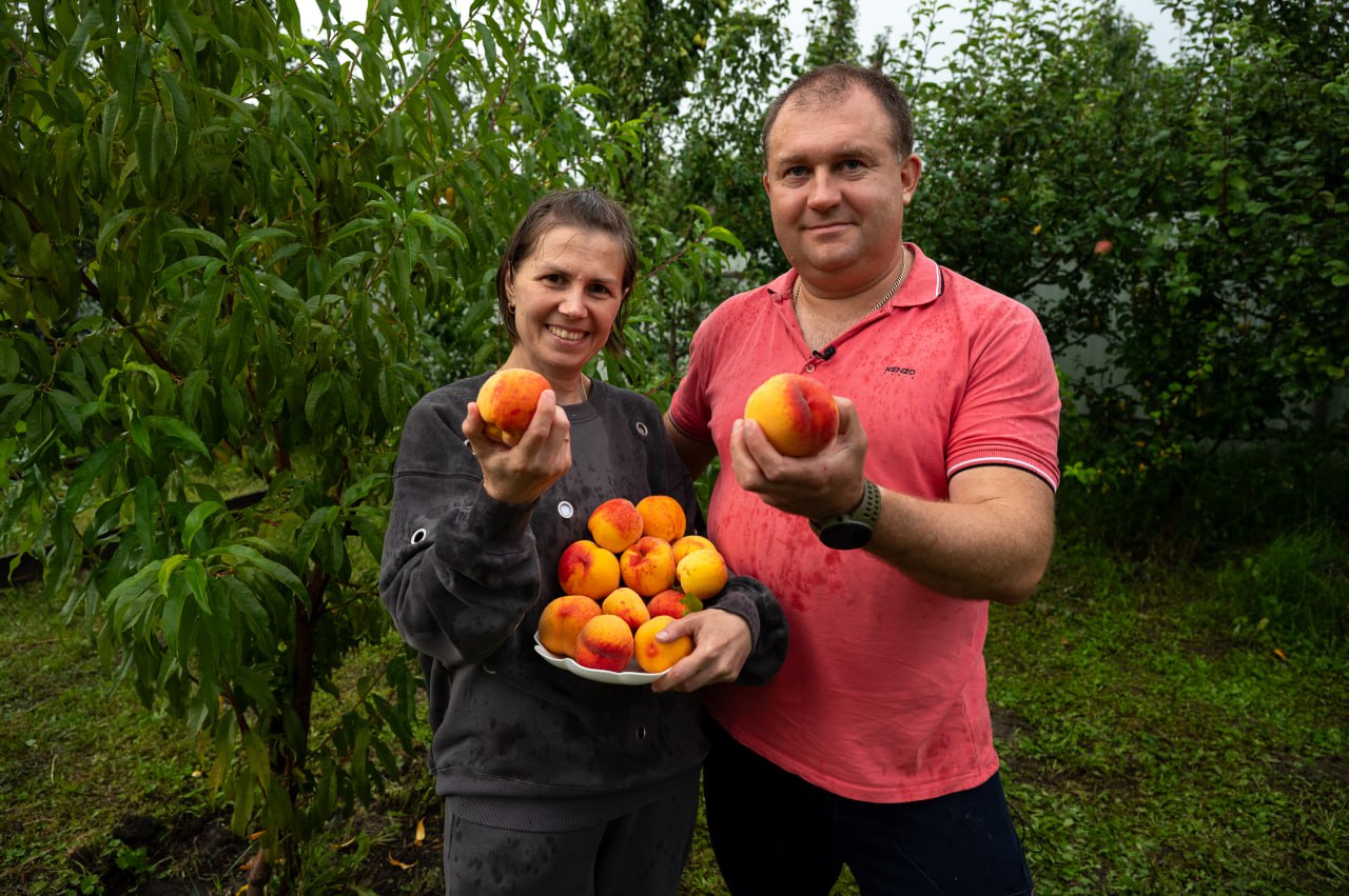 Под Серпуховом, в селе Липицы, энтузиаст выращивает южные культуры на приусадебном участке