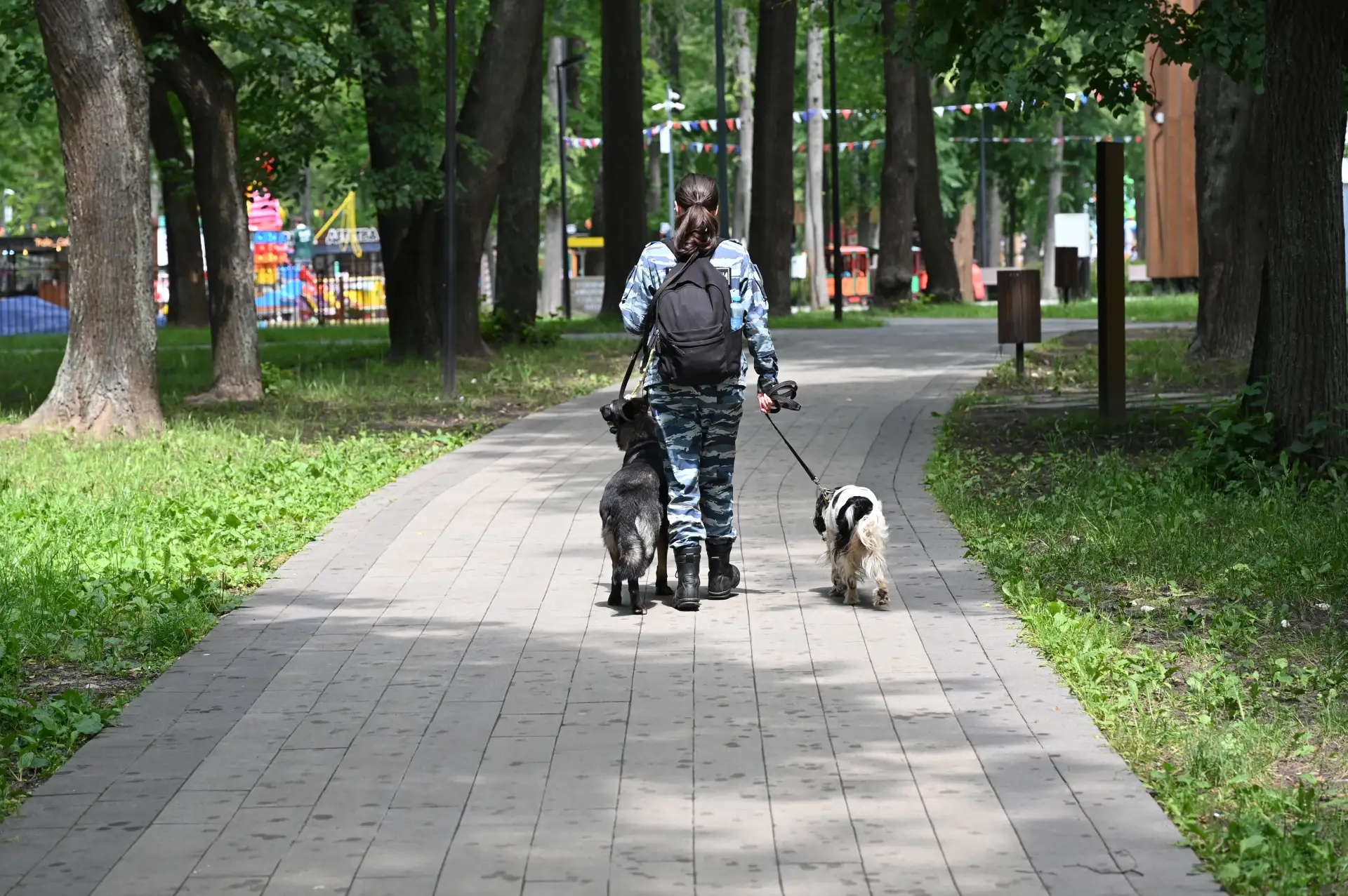 В парке им. Олега Степанова будет работать мобильный ветеринарный пункт