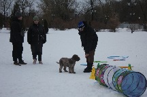 IMG_1398.JPG