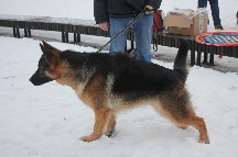 IMG_1416.JPG