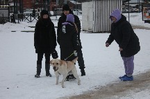 IMG_1354.JPG