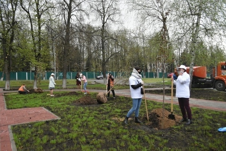 В городском округе Серпухов ведутся компенсационные высадки В городском округе Серпухов ведутся компенсационные высадки