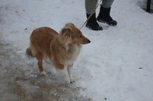 IMG_1401.JPG