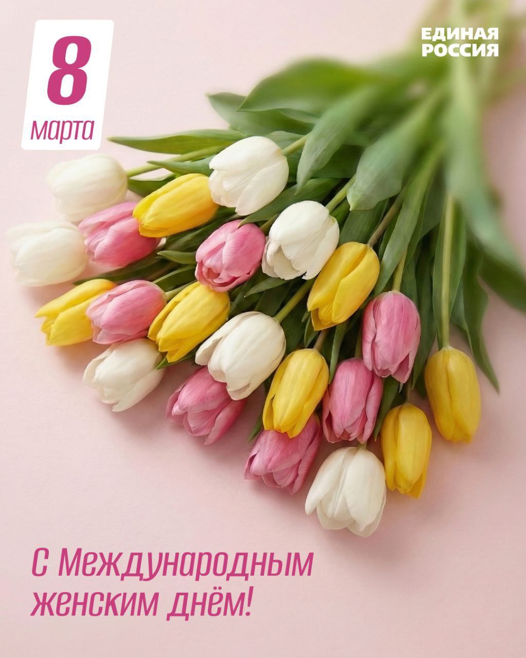 Глава Серпухова поздравил женщин с праздником 8 Марта