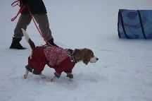 IMG_1380.JPG