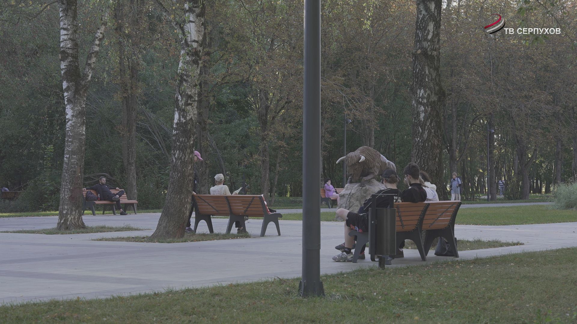 В Серпухове начала работать горячая линия по вопросам голосования в Госдуму и Мособлдуму