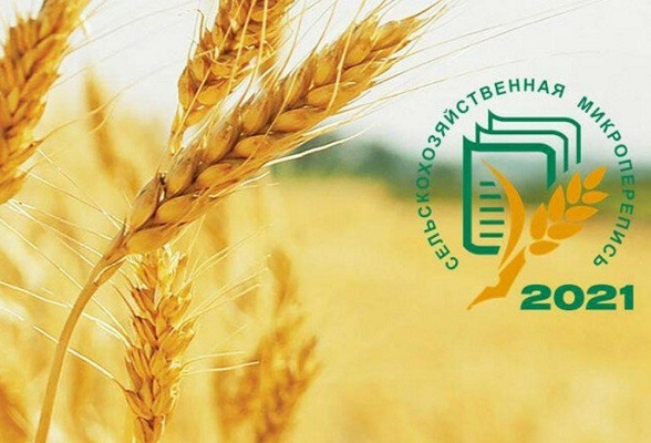 Сельхозпроизводители Серпухова примут участие в сельскохозяйственной микропереписи Сельхозпроизводители Серпухова примут участие в сельскохозяйственной микропереписи