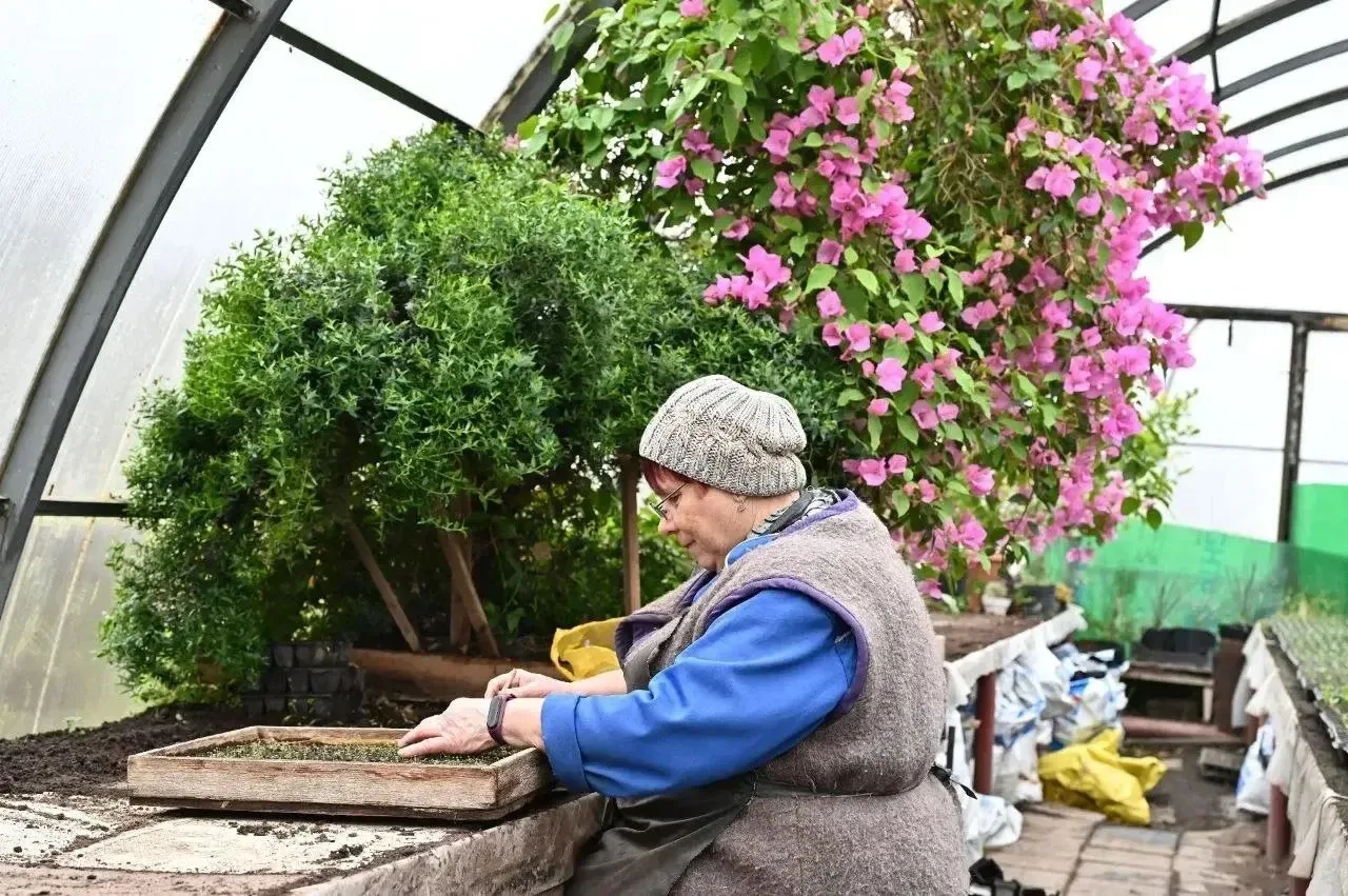 Первые весенние цветы появятся в Серпухове на этой неделе.