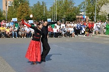 DSC_0230.JPG