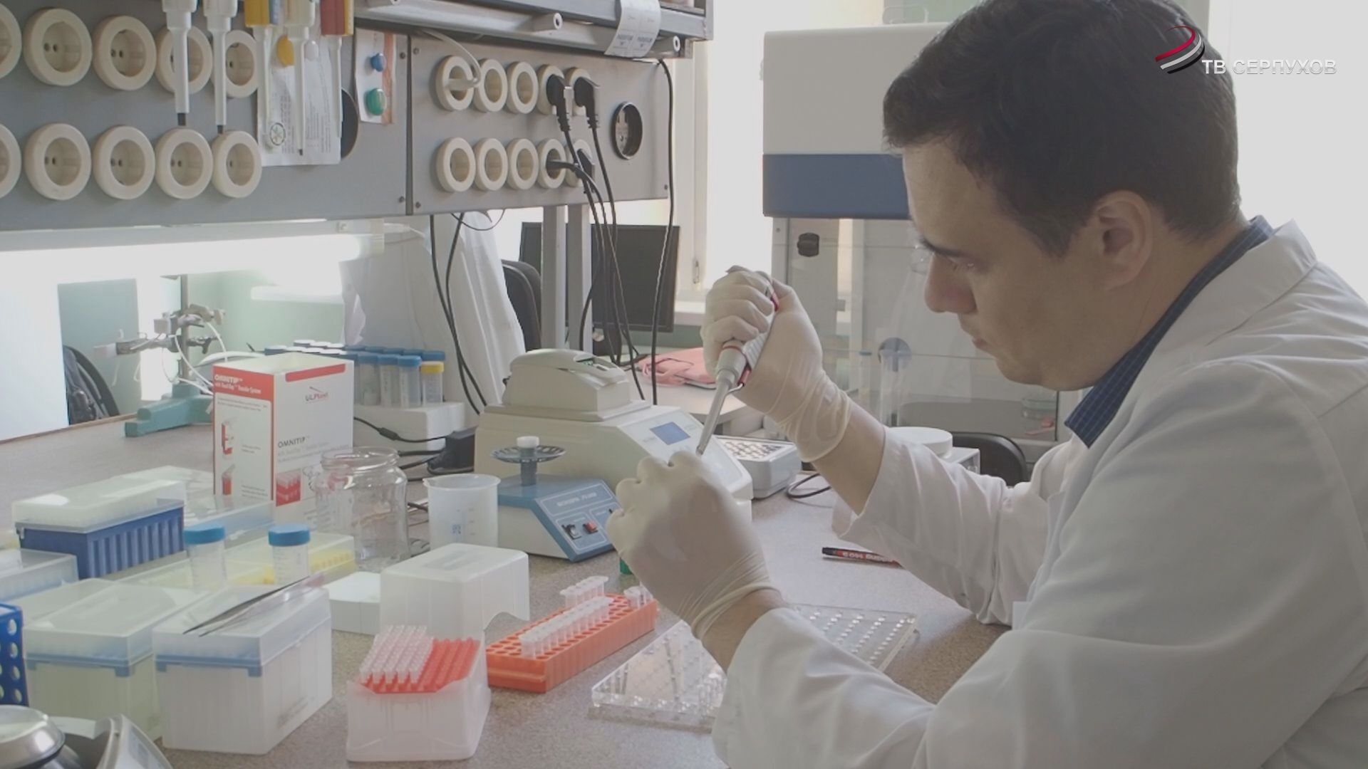 Учёные Большого Серпухова ищут способы эффективного лечения рака и диабета