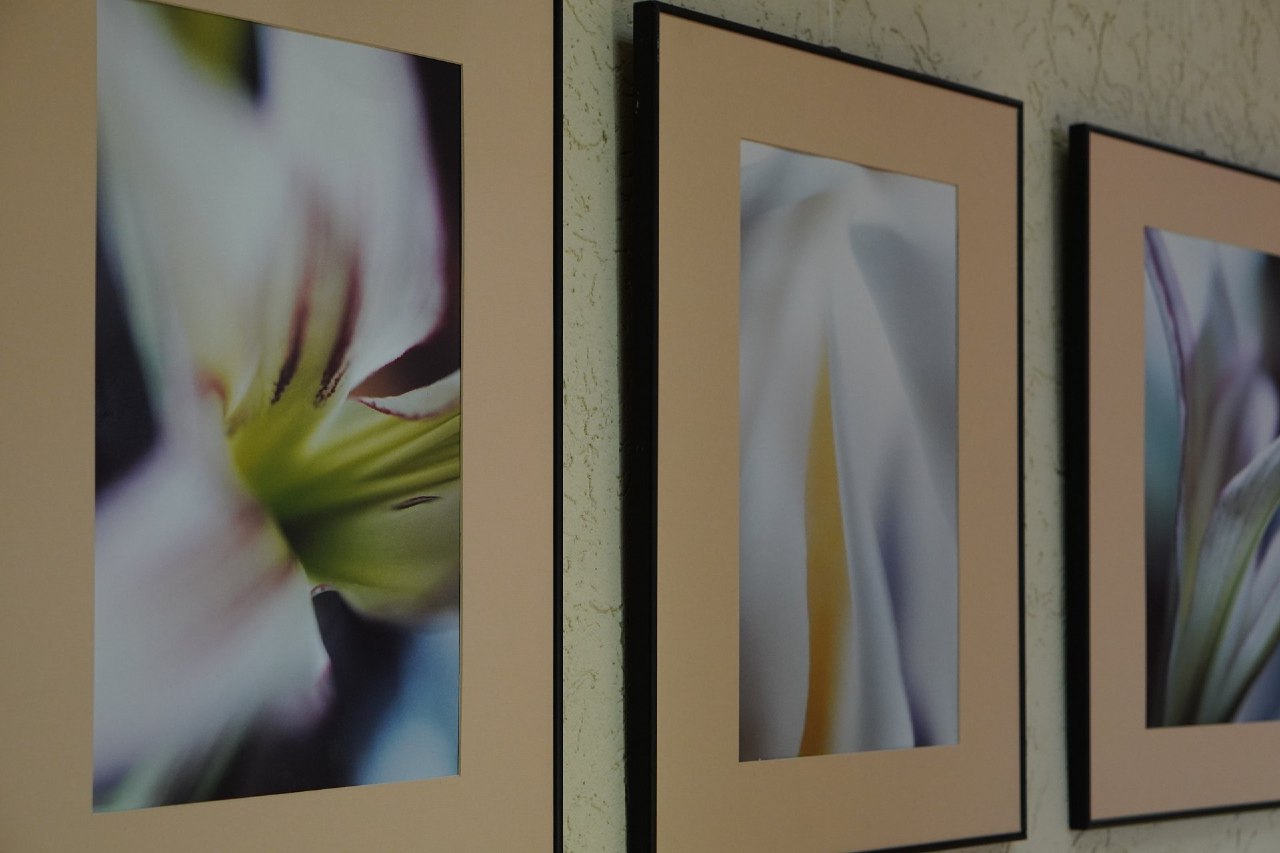 Фотовыставка Александра Курловича «Макроабстракции» открылась в Пущино