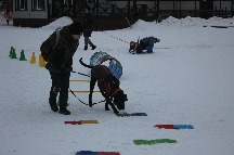 IMG_1370.JPG