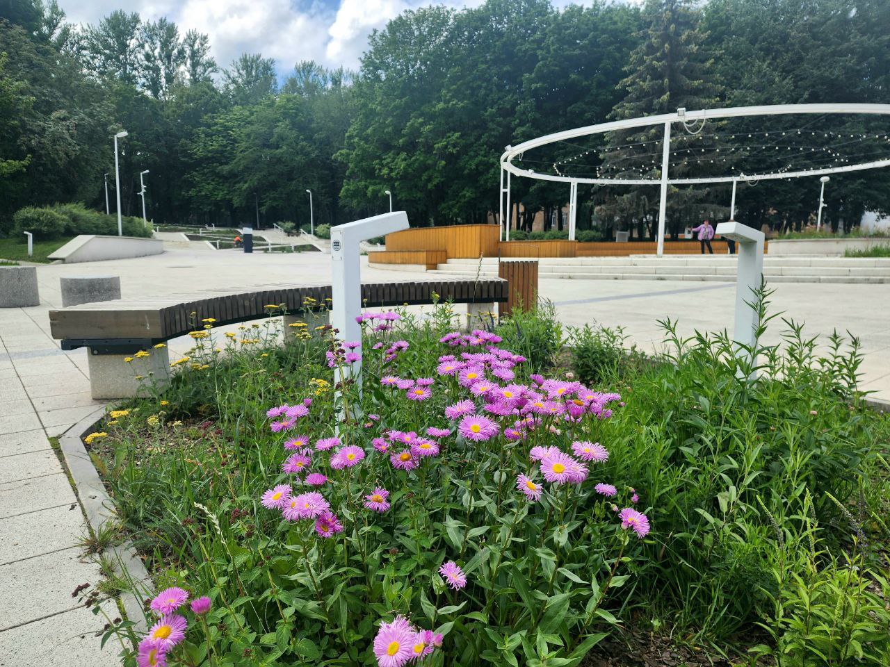 Общественную зону «Таблетка» в Пущино украшают многолетние растения и лекарственные травы