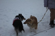 IMG_1409.JPG