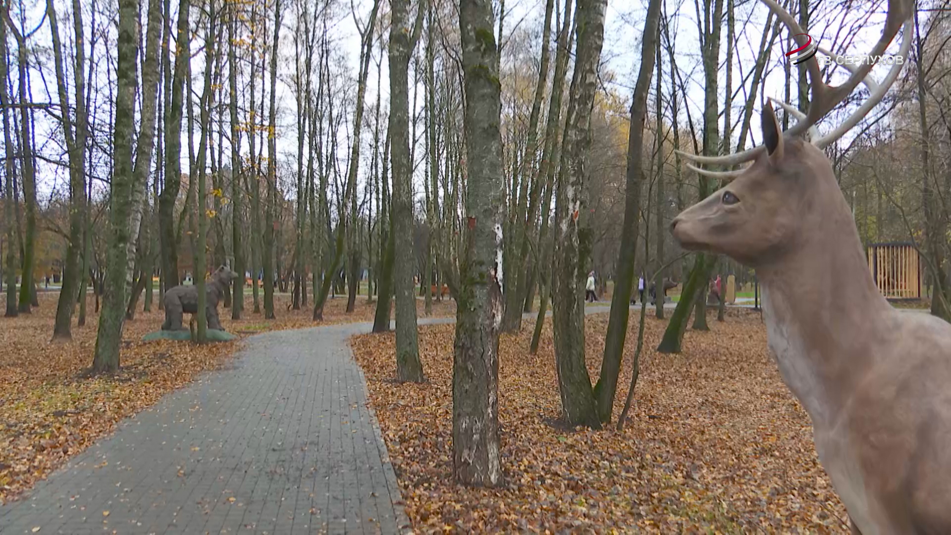 В Серпухове провели опрос среди гостей парка Питомник В Серпухове провели опрос среди гостей парка Питомник