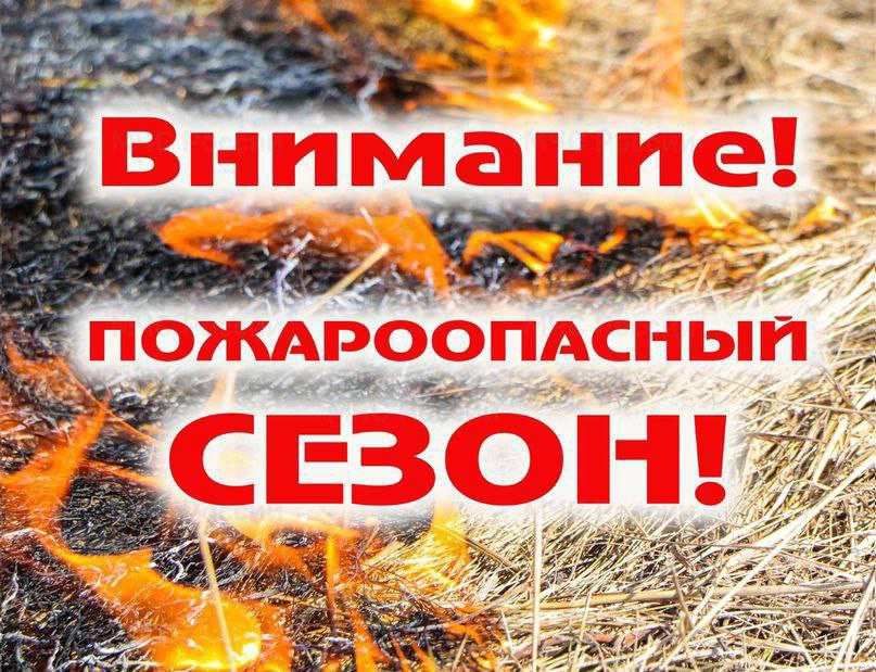 Серпуховичам напомнили правила поведения в пожароопасный сезон