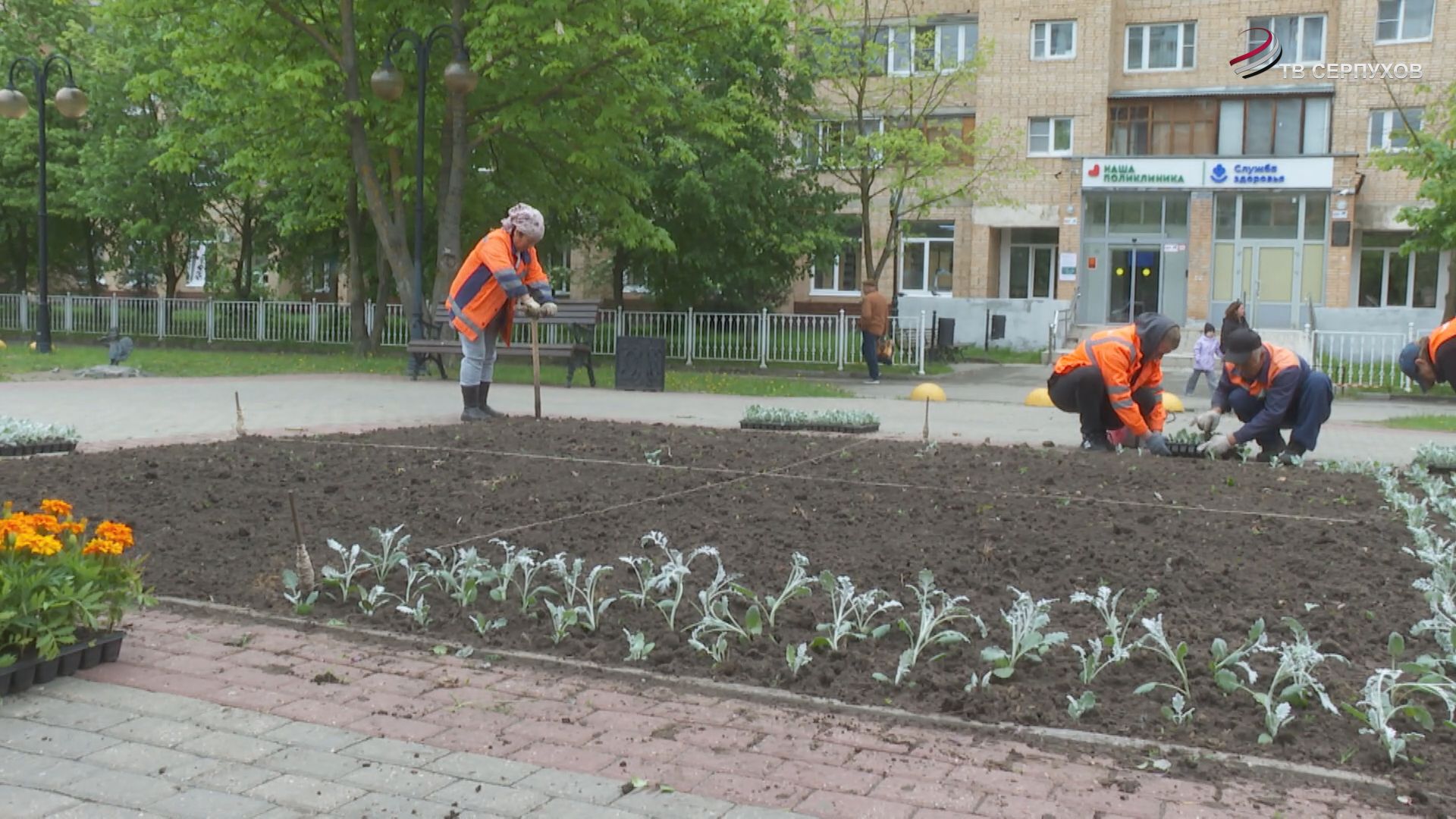 Cпециалисты комбината благоустройства приступили к высадке летних цветов
