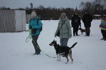 IMG_1393.JPG