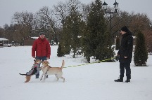 IMG_1366.JPG