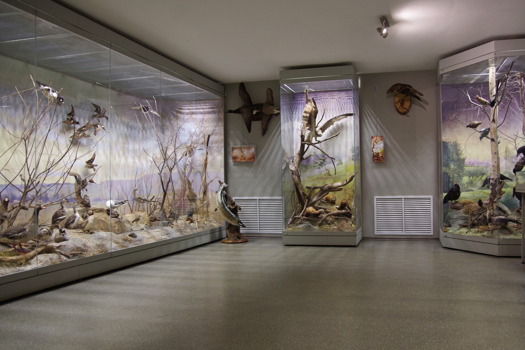 В честь 80-летия Приокско-Террасного заповедника пройдет праздничная программа 