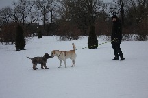 IMG_1359.JPG
