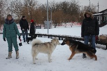 IMG_1419.JPG