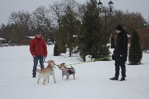 IMG_1367.JPG