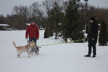 IMG_1365.JPG