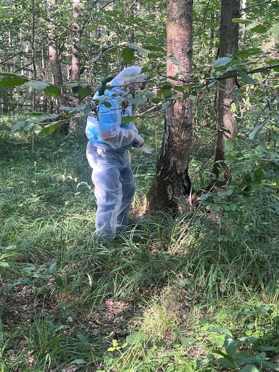 Серпуховская станция по борьбе с болезнями животных уведомляет жителей о раскладке вакцины от бешенства