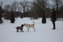 IMG_1361.JPG