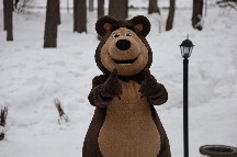.IMG_4582.JPG