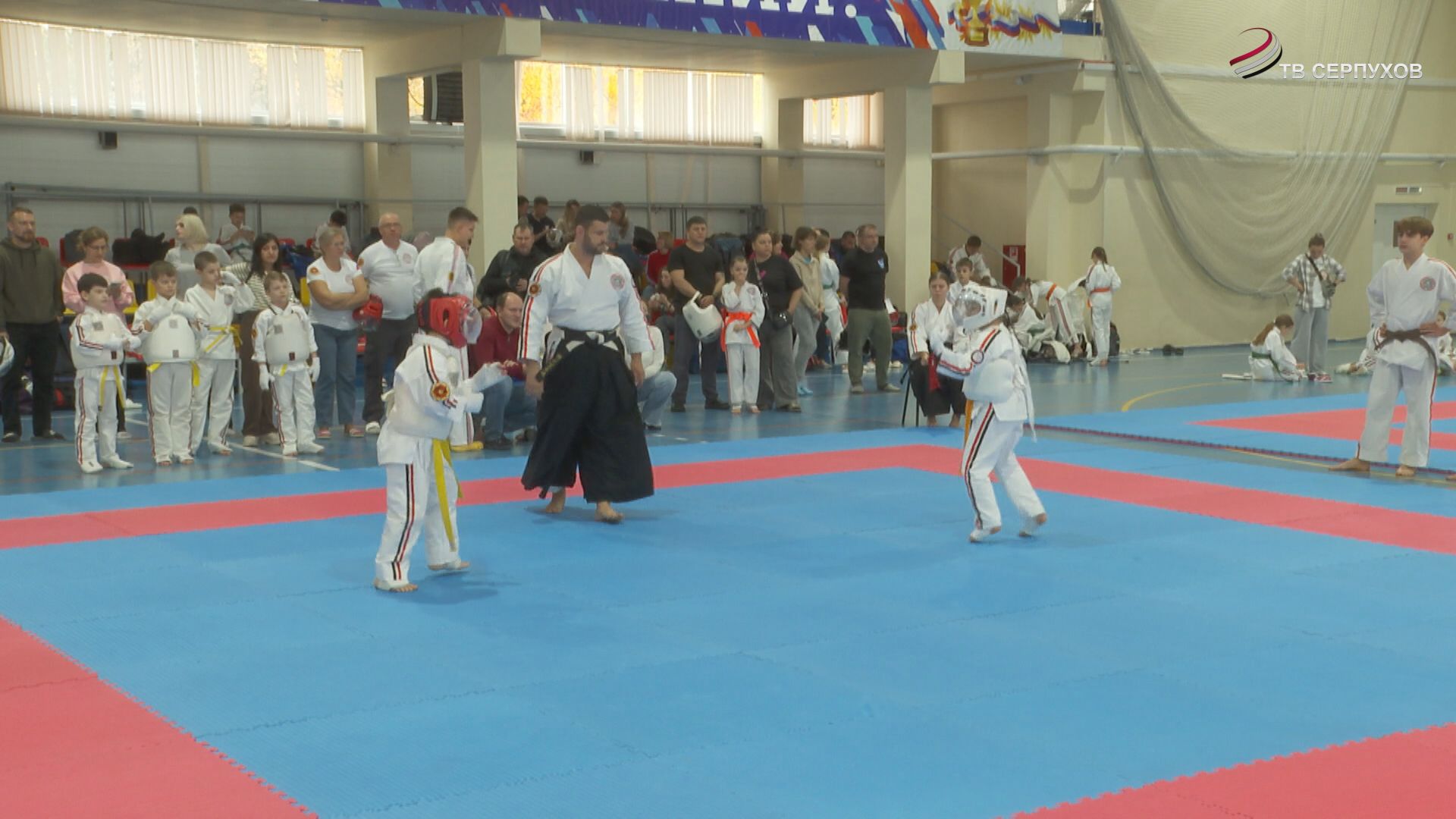 В Серпухове на Чемпионате ЦФО по косики каратэ больше всего побед завоевали местные спортсмены