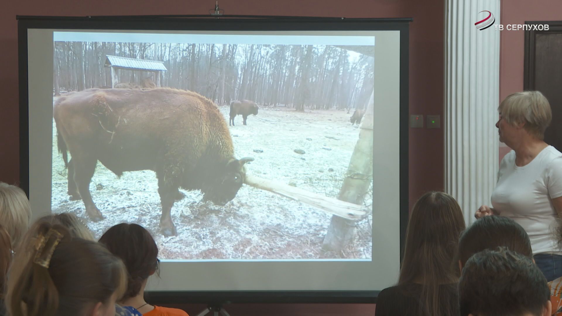 В Серпухове прошла презентация проекта «Заповедная азбука»