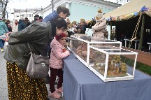 DSC_0411.JPG