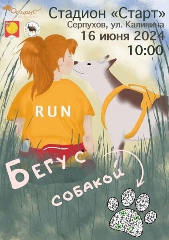 В Серпухове пройдёт фестиваль «Бегу с собакой»