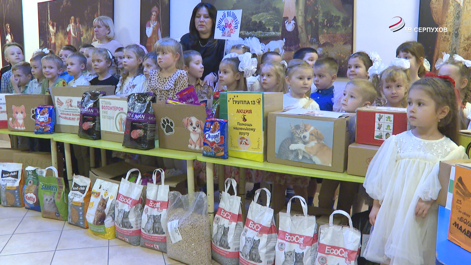 В Серпухове воспитанники детского сада помогли приюту «Зоозащита плюс»