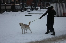 IMG_1352.JPG