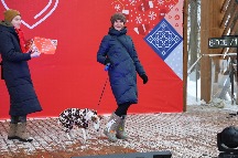 IMG_1155.JPG