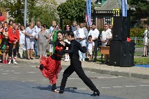 DSC_0238.JPG