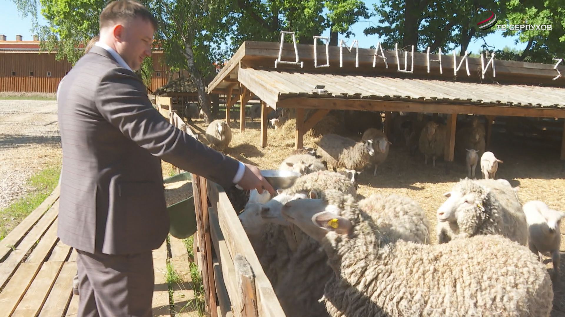 В АгроКомплексе «Спасский» развивается овцеводство