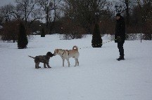 IMG_1360.JPG