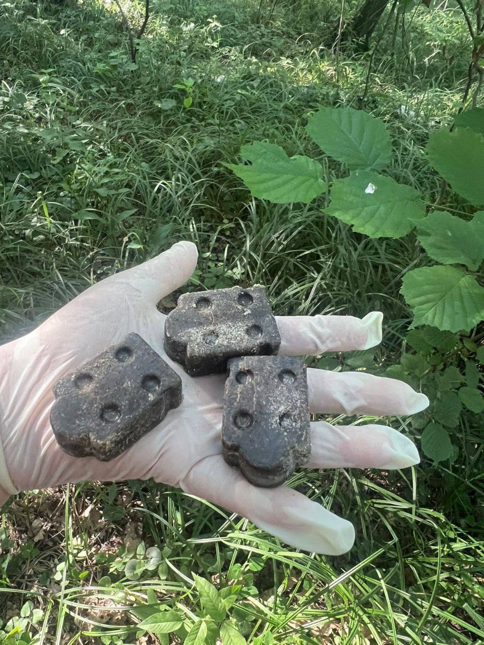 Серпуховская станция по борьбе с болезнями животных информирует о раскладке вакцины от бешенства