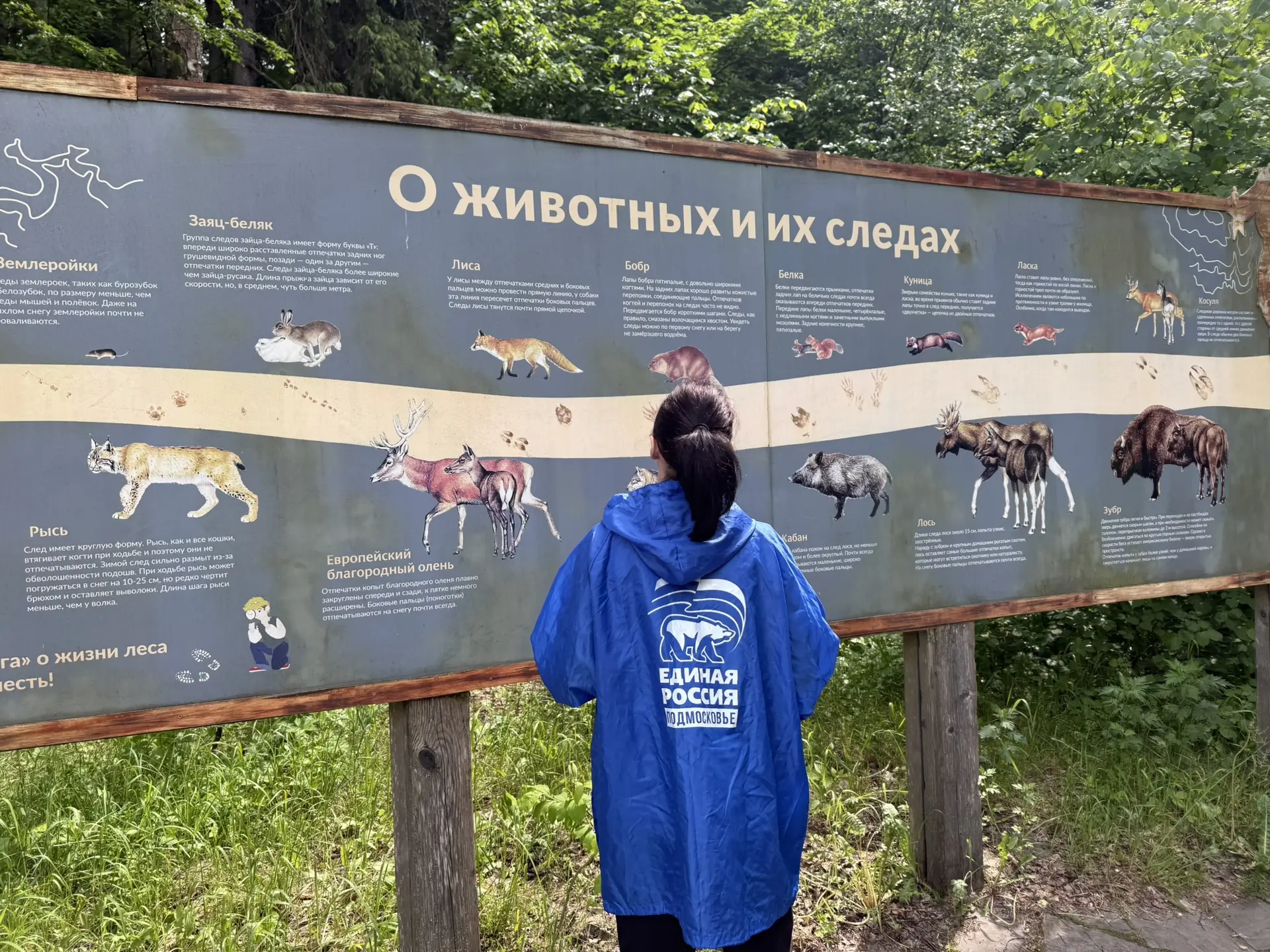 В Приокско-Террасном заповеднике отметили День эколога экскурсией «Дорога к зубрам»
