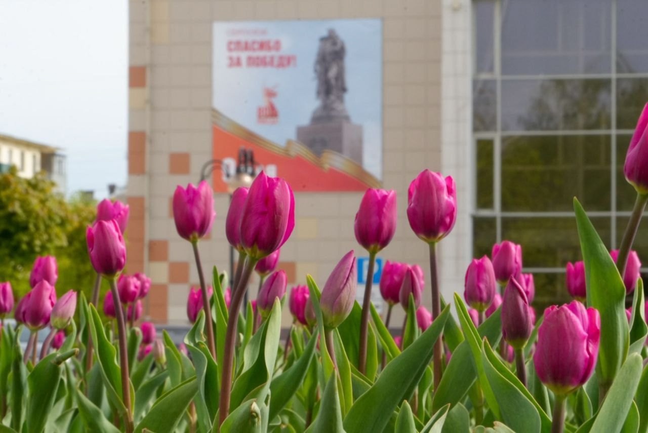 В Серпухове пройдут праздничные мероприятия к Юбилею Победы