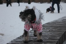 IMG_1407.JPG