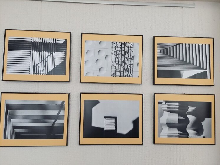 Фотовыставка Сергея Коротаева «Тенопись» открылась в Пущино