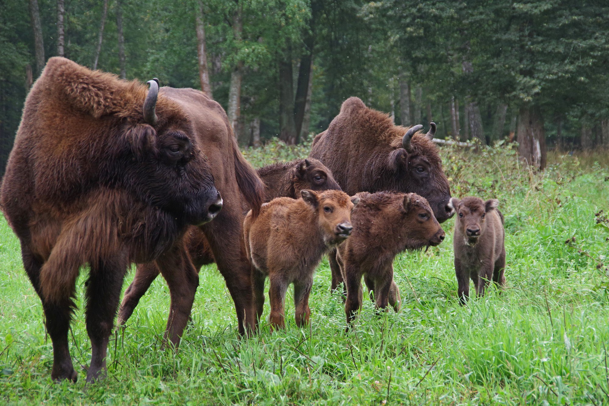 В Московской области за последние 5 лет создано 12 особо охраняемых природных территорий регионального значения